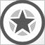 Silver Achievement Star Achievement