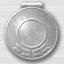 Western Arctic Bronze Badge Achievement