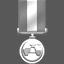Army Cross: Campaign Achievement