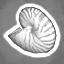 Seven Nautilus Shells Achievement